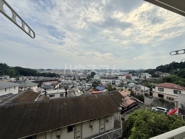 16/19 その他画像