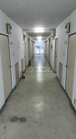 15/19 その他画像