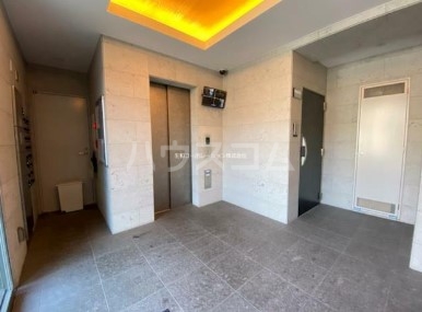 14/28 その他画像