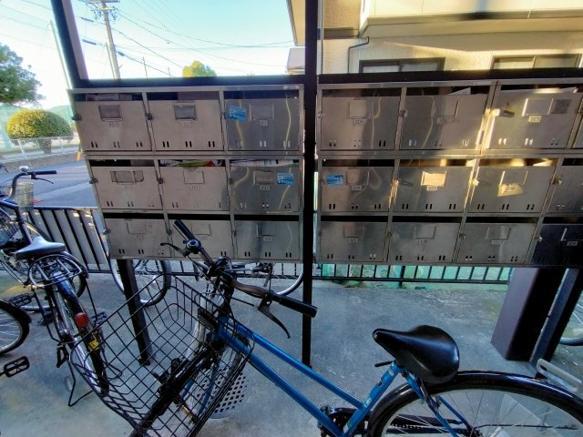 20/30 その他画像