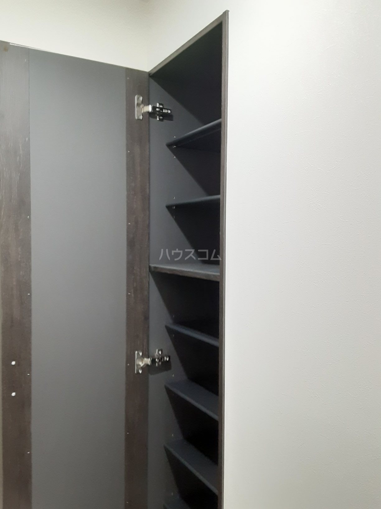 19/24 その他画像