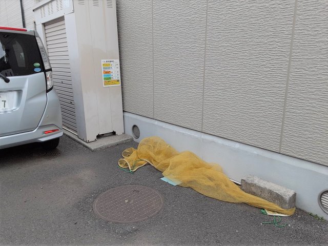 27/30 その他画像