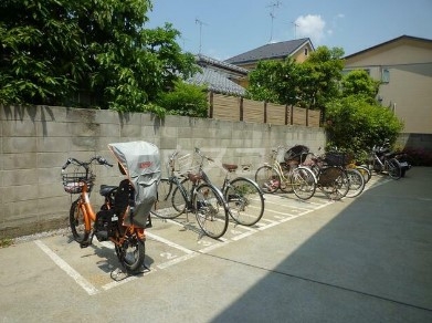 11/20 その他画像