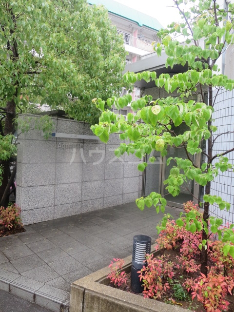 2/11 エントランス