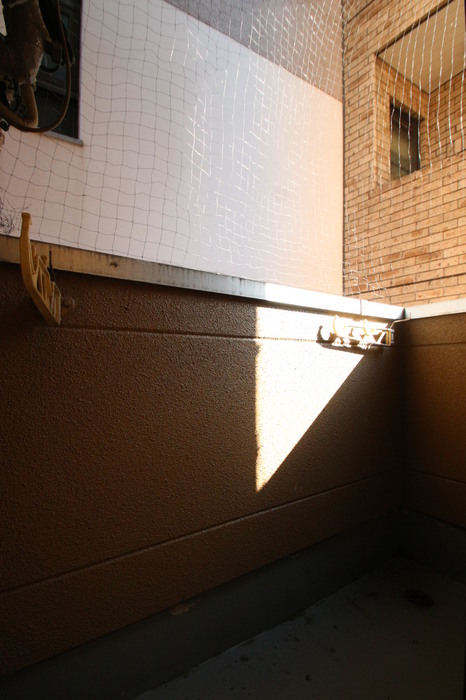 12/19 バルコニー