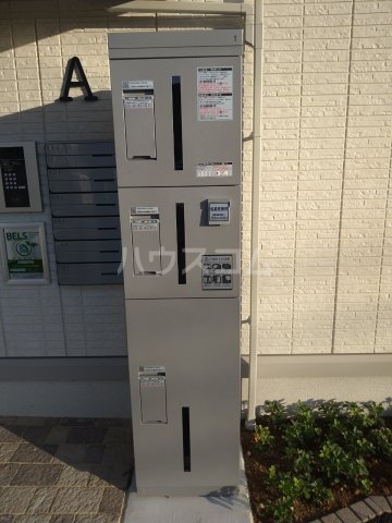 17/19 その他画像