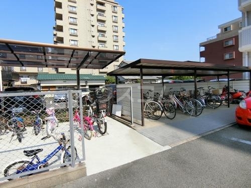 13/19 その他画像