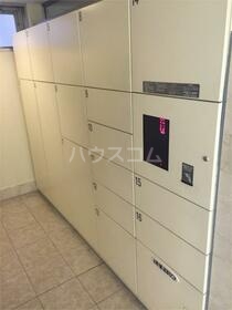 16/25 その他画像