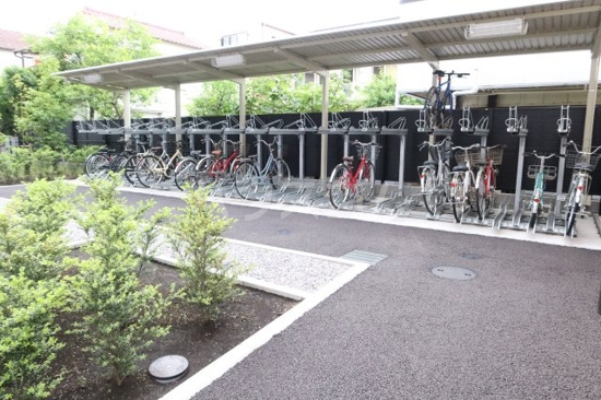 8/17 その他画像