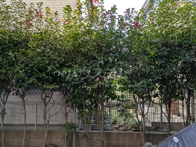 12/30 その他画像