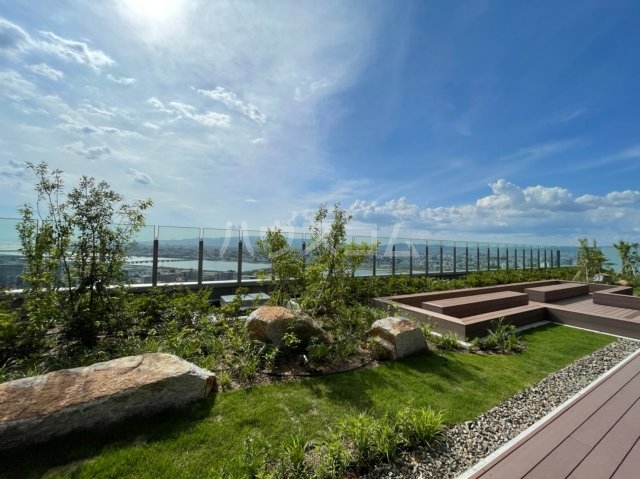 12/28 その他画像