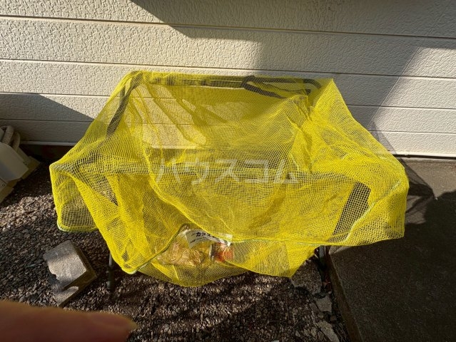 14/21 その他画像