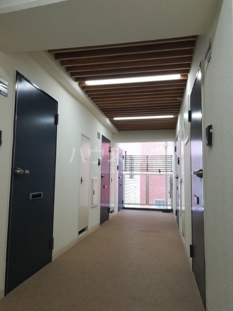 6/17 その他画像