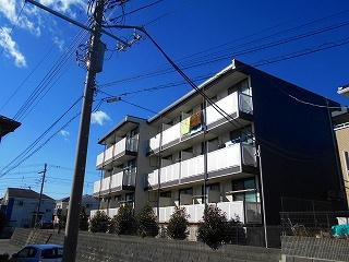 11/24 バルコニー