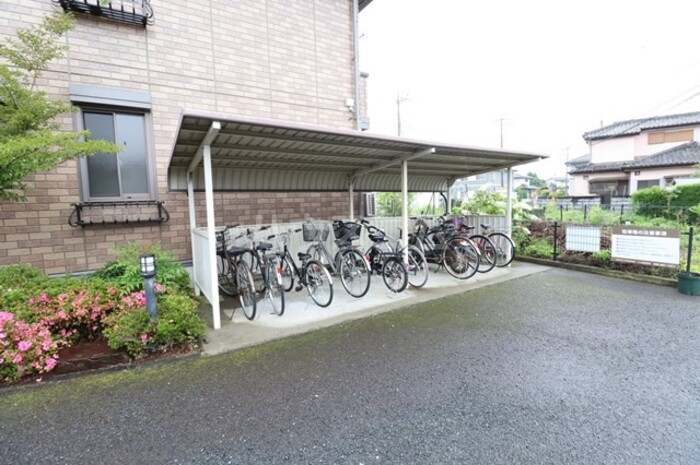 8/13 その他画像