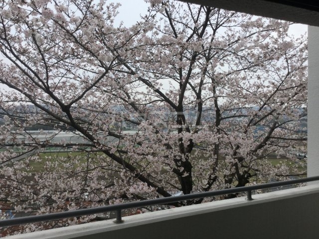 16/25 その他画像