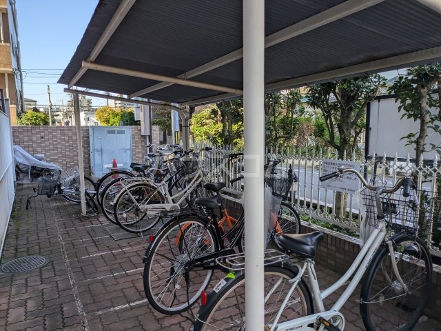 20/30 その他画像