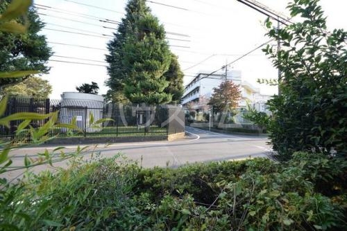 5/17 その他画像