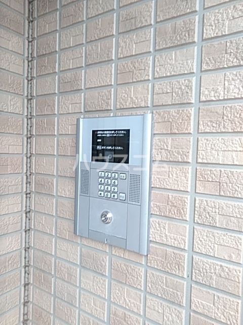 20/30 その他画像