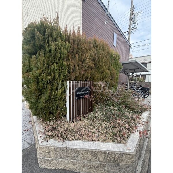 12/16 その他画像