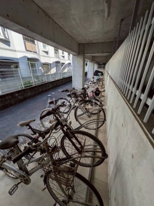 3/15 その他画像