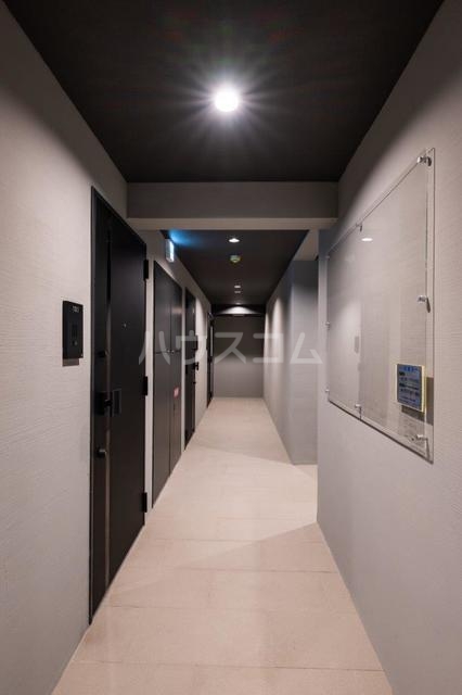 6/11 その他画像