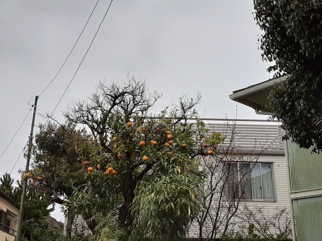 15/20 その他画像