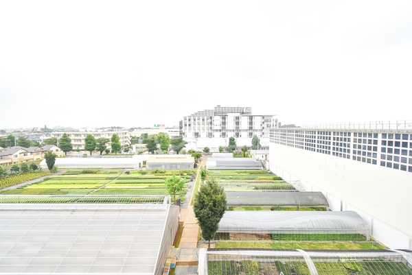 13/22 その他画像