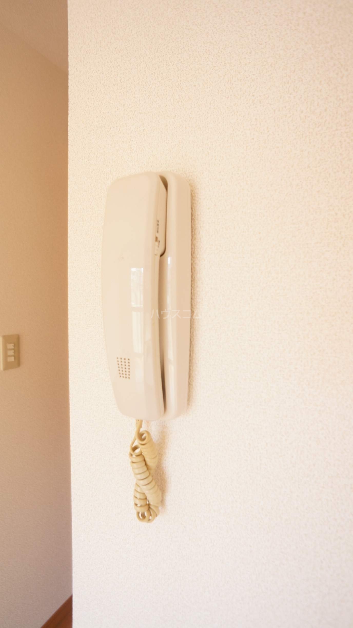 12/15 その他画像