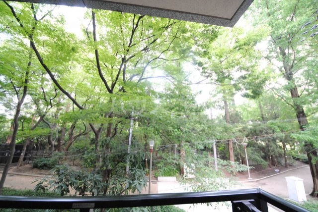 17/23 その他画像