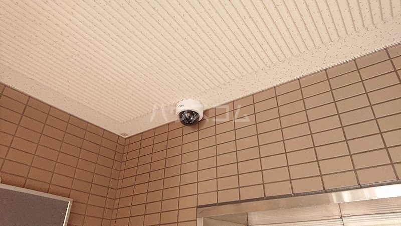 14/24 その他画像