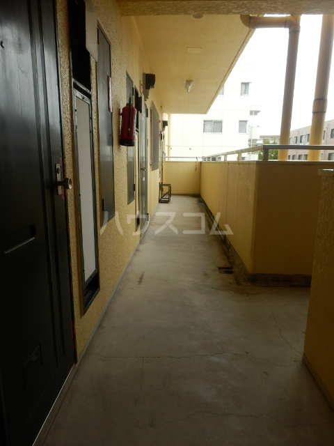 21/24 その他画像