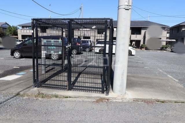 3/14 その他画像