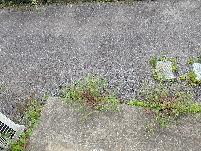 14/30 その他画像