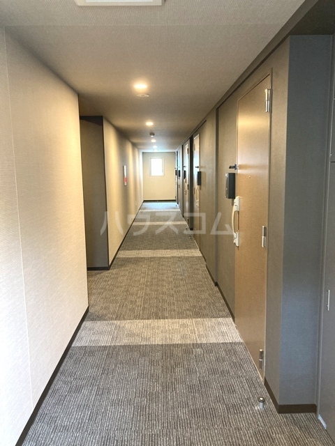 3/16 その他画像