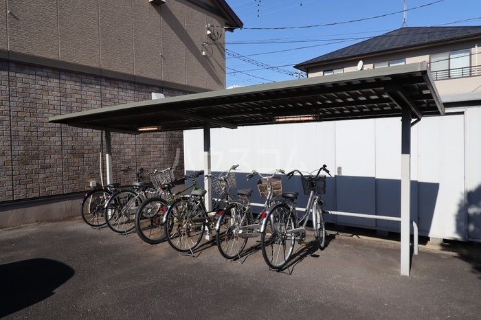 15/22 その他画像