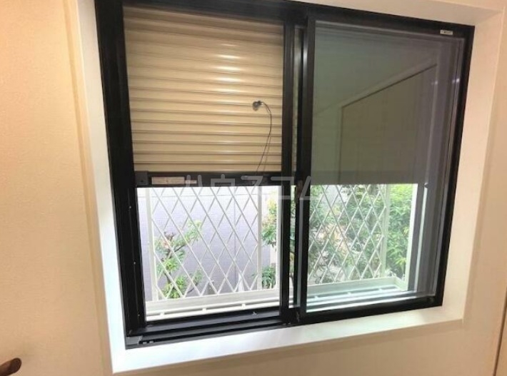 15/29 その他画像