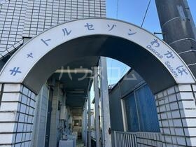 13/13 その他画像