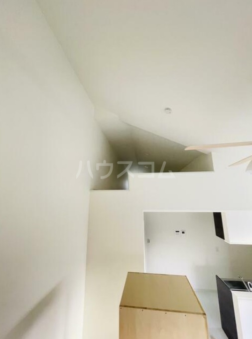 15/24 その他画像