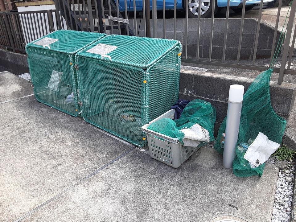 26/30 その他画像