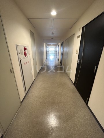 19/29 その他画像