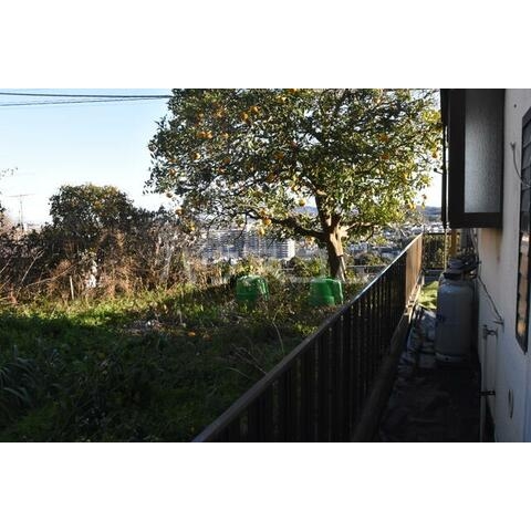 11/24 バルコニー