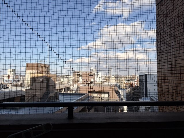 13/14 その他画像