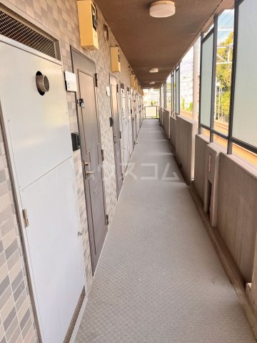 17/29 その他画像