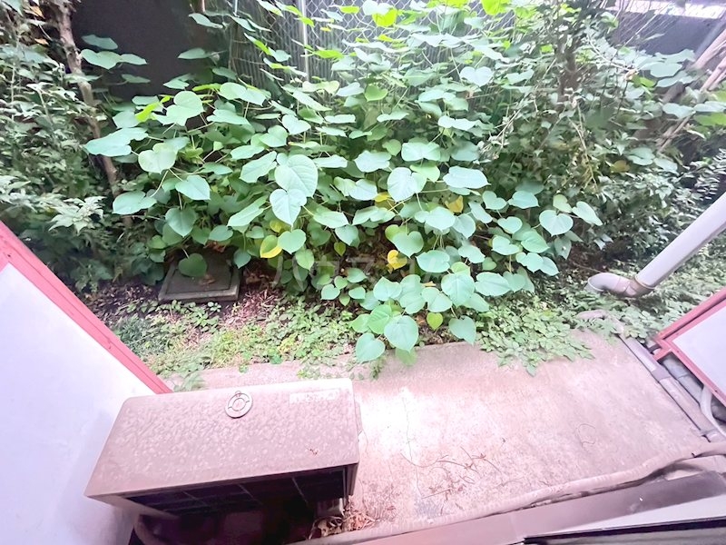 12/28 バルコニー