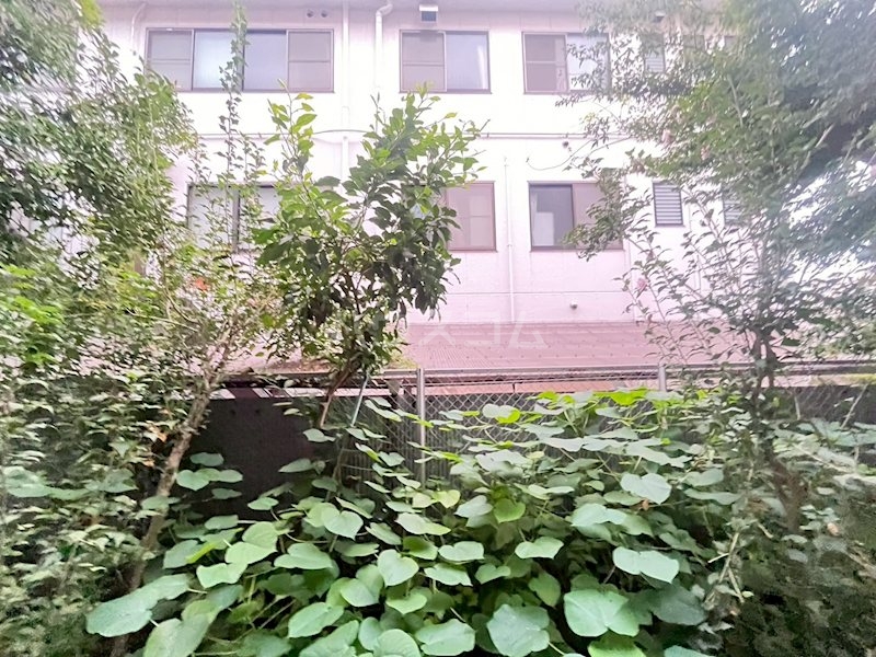 13/28 その他画像