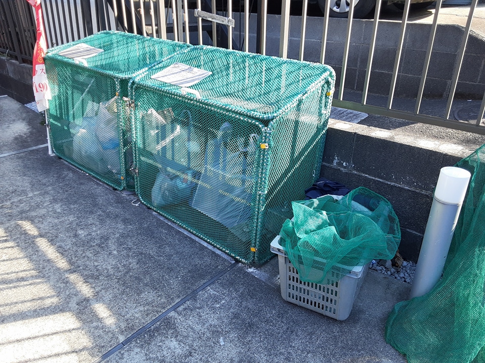 25/30 その他画像