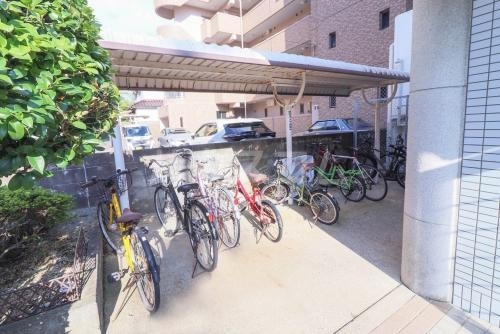 13/24 その他画像