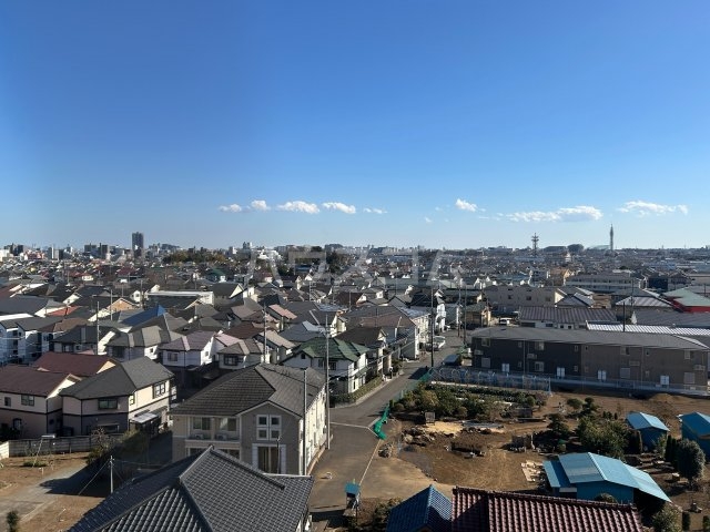 11/25 その他画像