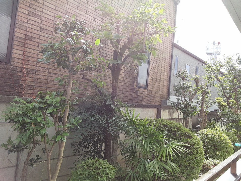 21/29 その他画像